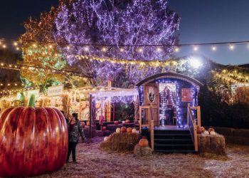 Chicago Halloween parties 2021: spooky parades, pop-up bars, costume parties, and more