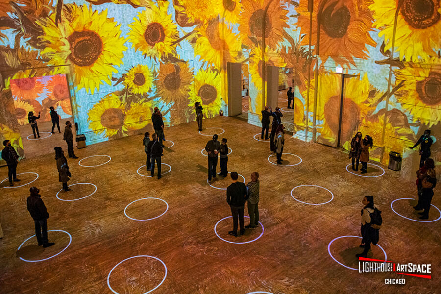Groups of people surrounded by images of Vincent Van Gogh’s famous Sunflowers at the Immersive Van Gogh Exhibit in Chicago
