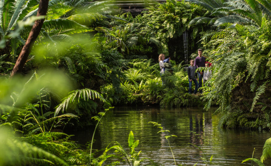 Garfield Park Conservatory