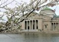 Where to see spring flowers in Chicago