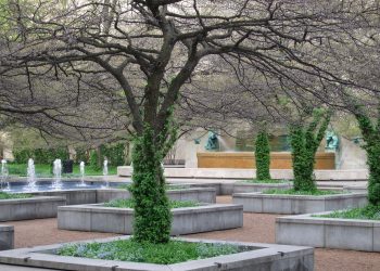 Greening Chicago: Efforts to Conserve the Environment and Build a Sustainable Future