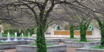 Greening Chicago: Efforts to Conserve the Environment and Build a Sustainable Future