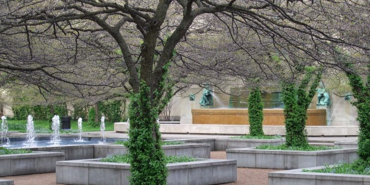 Greening Chicago: Efforts to Conserve the Environment and Build a Sustainable Future