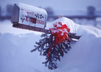 Get Ready to Sparkle: Chicago’s Official Holiday Tree Lighting Ceremony Set to Dazzle