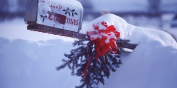 Get Ready to Sparkle: Chicago’s Official Holiday Tree Lighting Ceremony Set to Dazzle